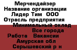 Мерчендайзер › Название организации ­ Лидер Тим, ООО › Отрасль предприятия ­ BTL › Минимальный оклад ­ 17 000 - Все города Работа » Вакансии   . Амурская обл.,Серышевский р-н